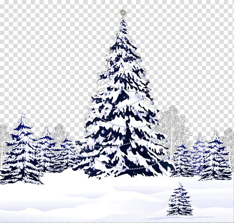 Christmas Saint Nicholas Day Desktop , pine tree transparent background PNG clipart
