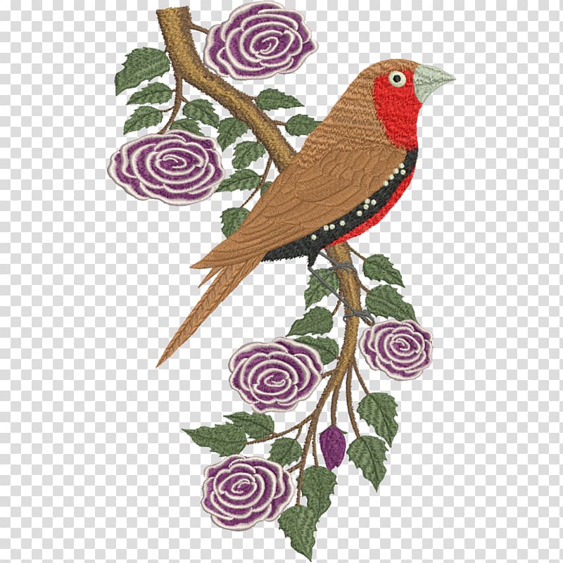 Songbird Gouldian finch Long-tailed finch Pictorella mannikin, painted plum blossom transparent background PNG clipart