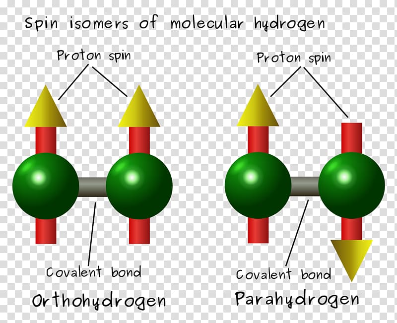 Spin isomers of hydrogen Molecule, chemical molecules transparent background PNG clipart